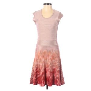 French connection bodycon dress